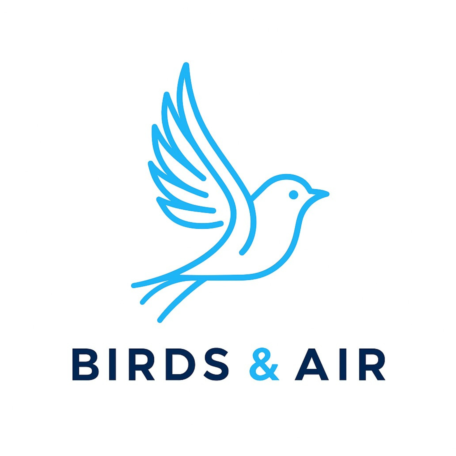 Birds & Air 
